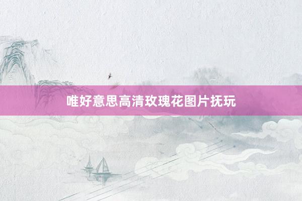 唯好意思高清玫瑰花图片抚玩