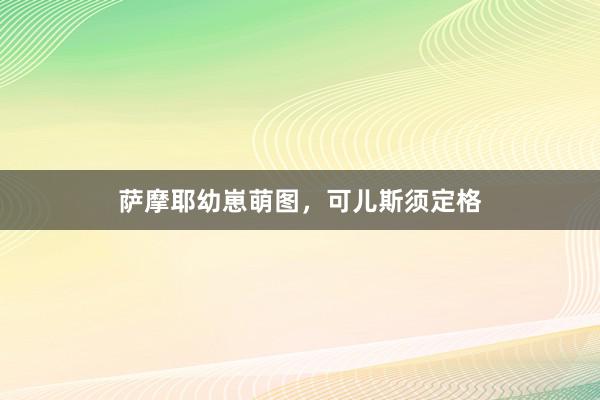 萨摩耶幼崽萌图,可儿斯须定格