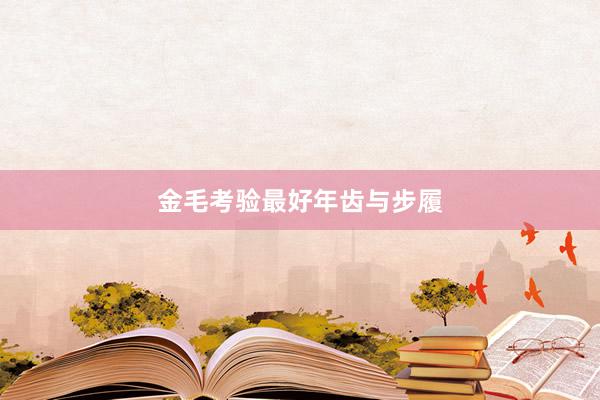 金毛考验最好年齿与步履
